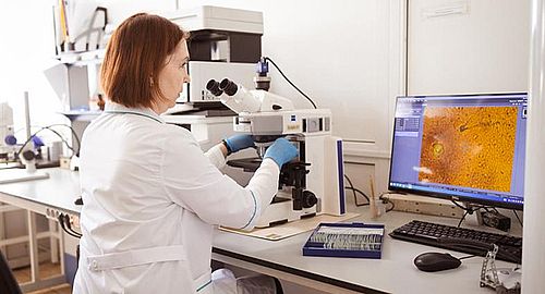 Фото: пресс-служба ФГБУ «ЦОК АПК»